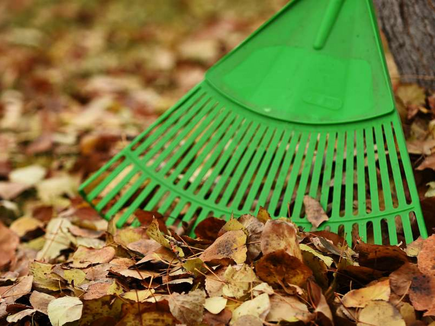 Lawn Care Services, Irrigation, Landscaping, Tree Trimming Cheyenne