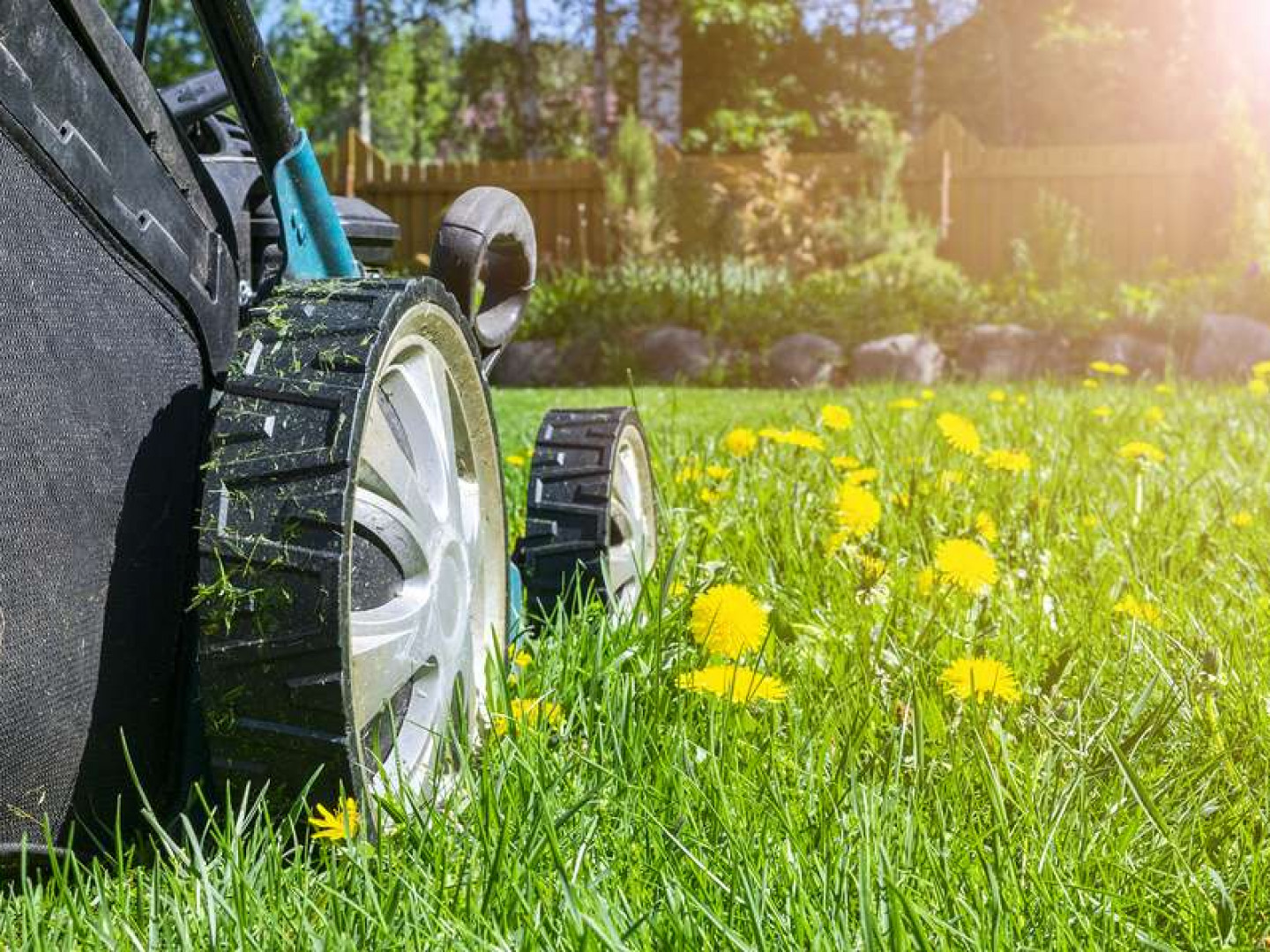 Lawn Care Services, Irrigation, Landscaping, Tree Trimming Cheyenne